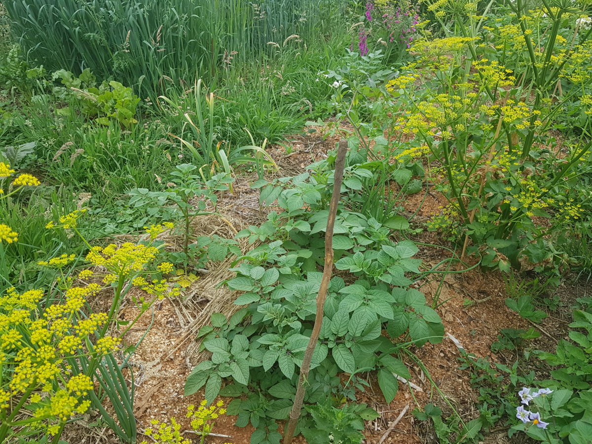 20180609_113307.jpg