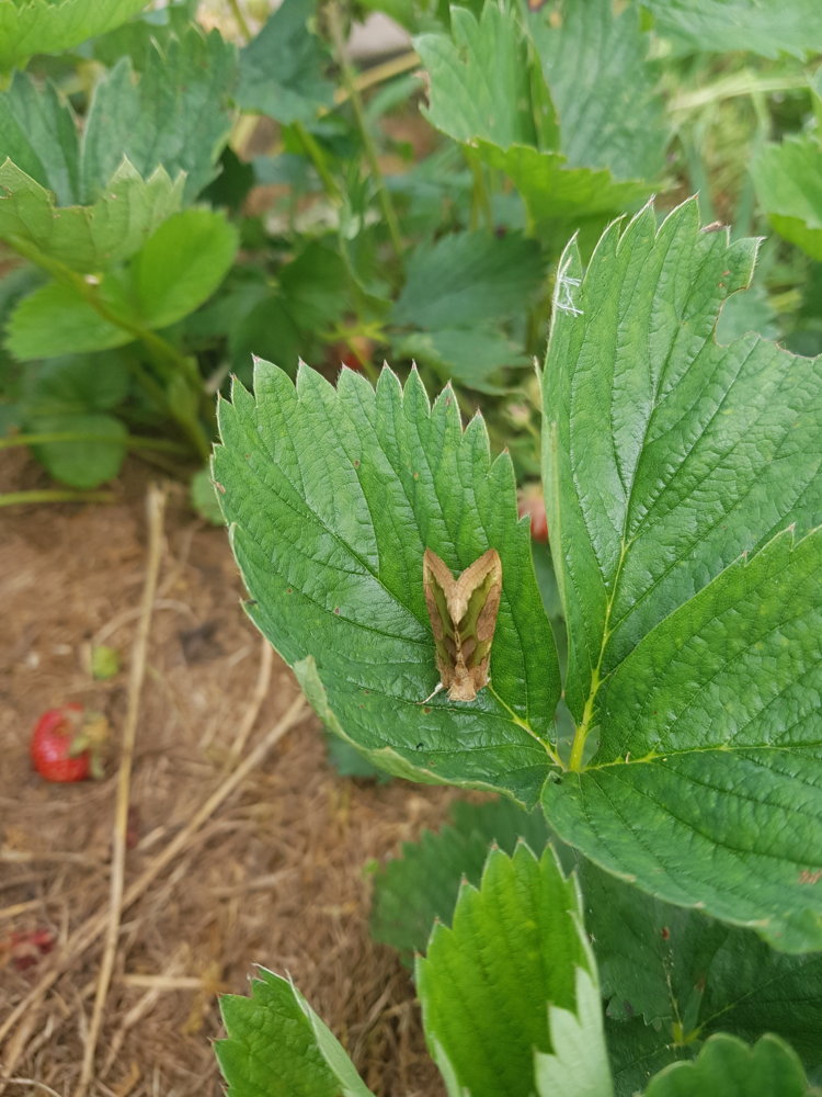 20180609_141451.jpg