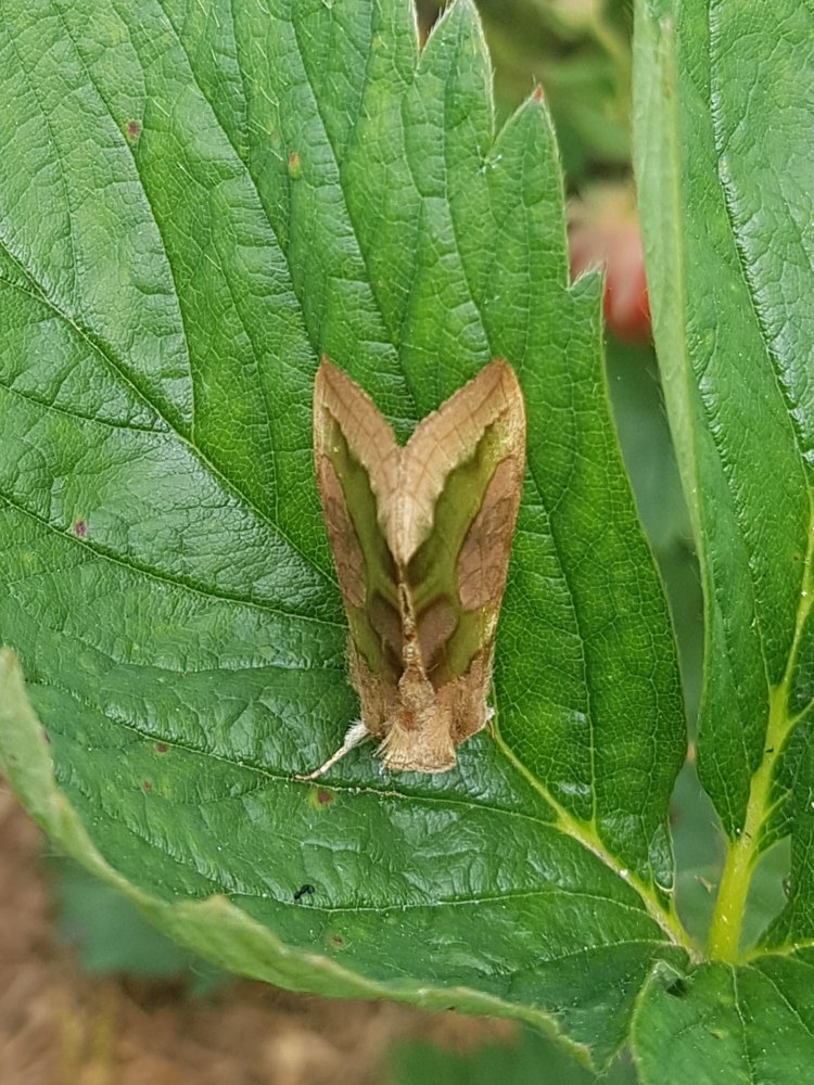 20180609_220019.jpg