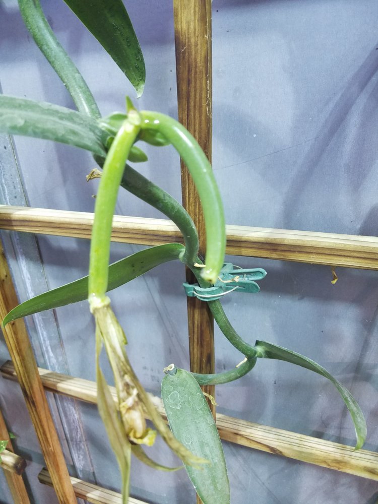 20180611_101631.jpg