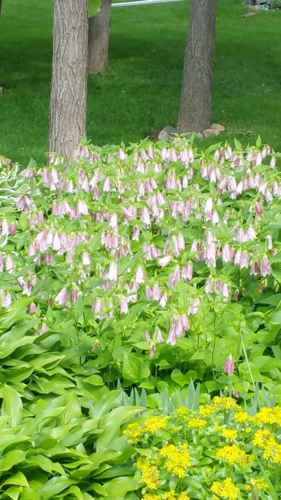20180622_152635.jpg