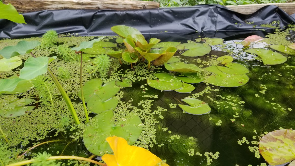 20180623_121006.jpg