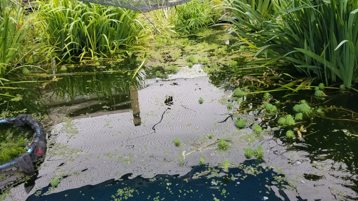 20180623_122139.jpg