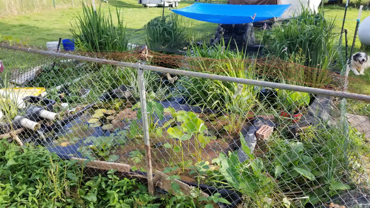 20180627_181101.jpg