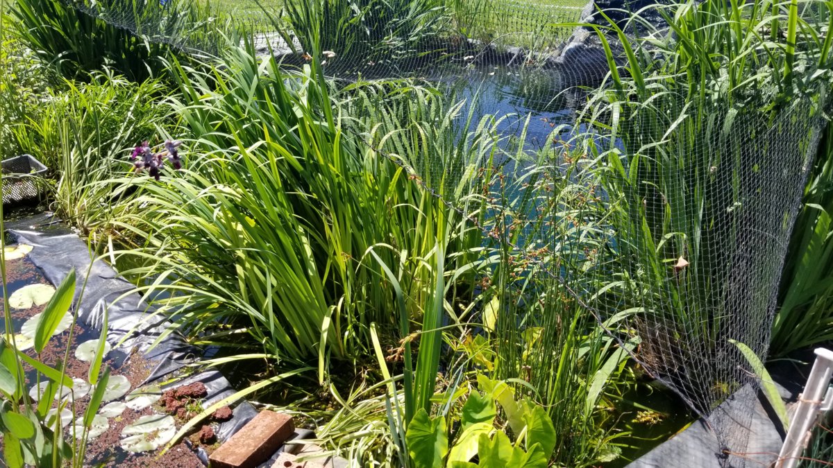 20180629_112439.jpg