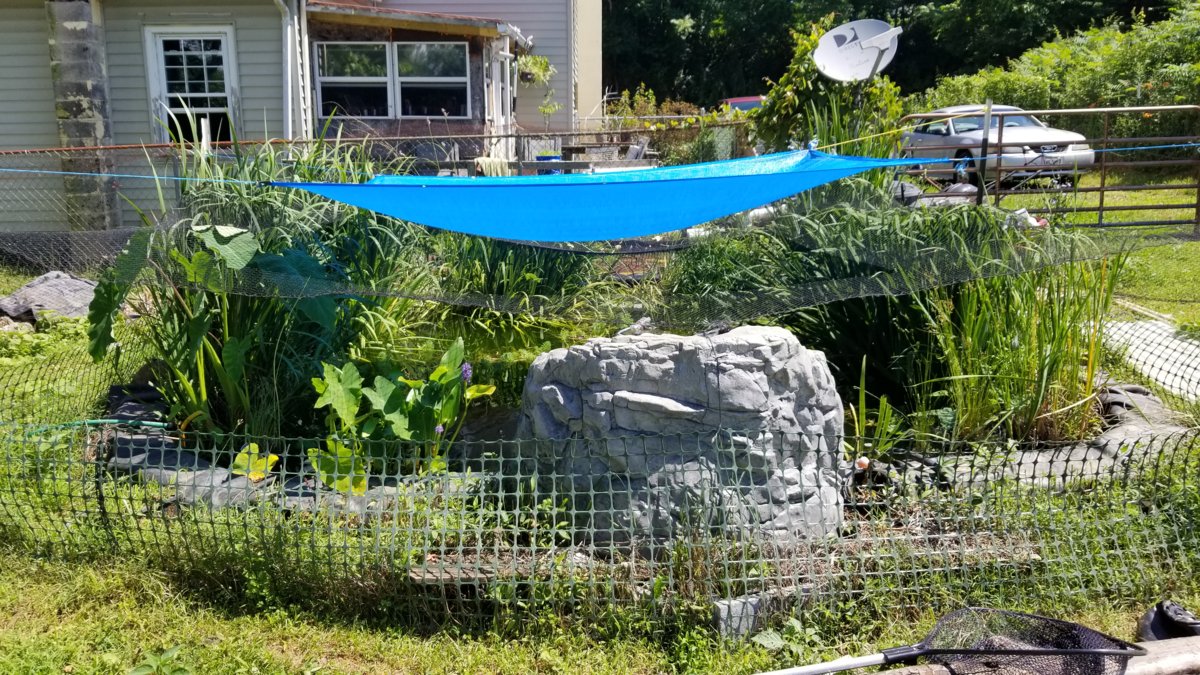 20180629_112453.jpg