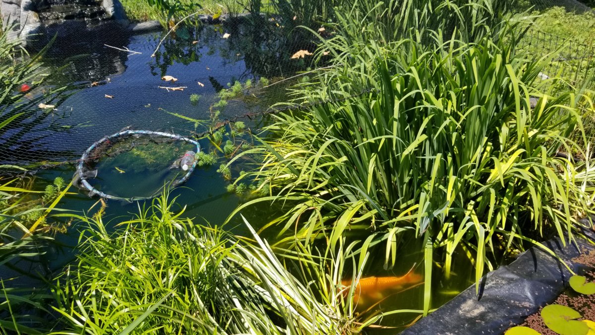 20180629_112629.jpg