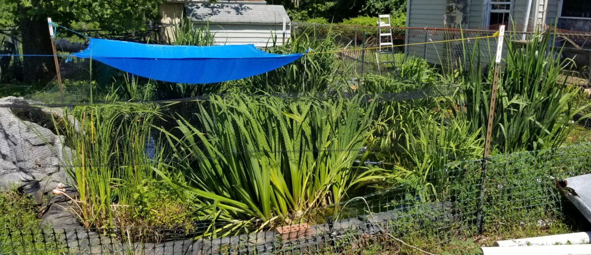 20180629_114032.jpg