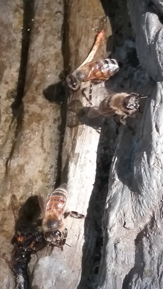 20180721_140541.jpg