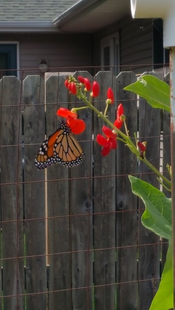 20180804_103513.jpg