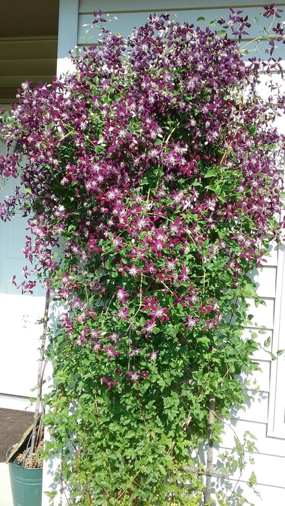 20180805_095314.jpg