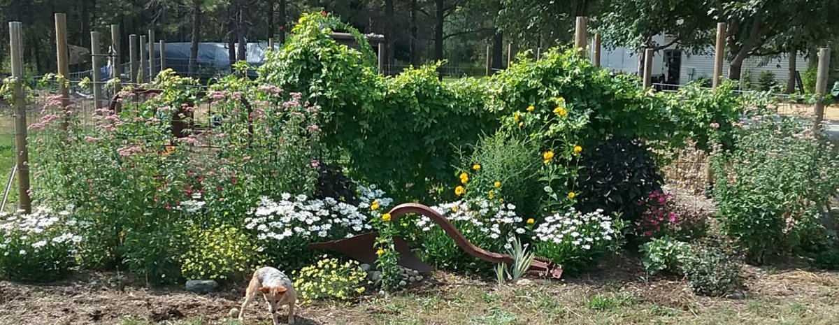20180806_103119.jpg
