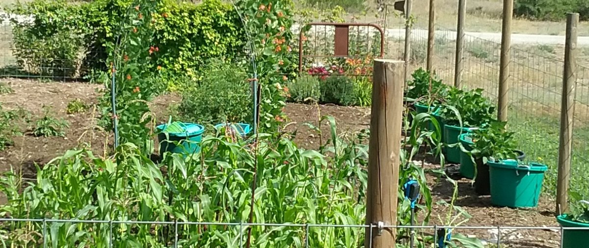 20180806_103243.jpg