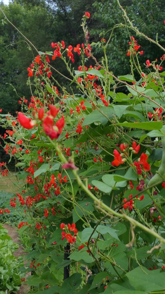 20180817_175848.jpg