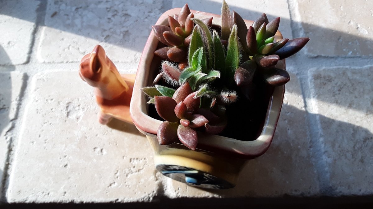 20180925_160423.jpg