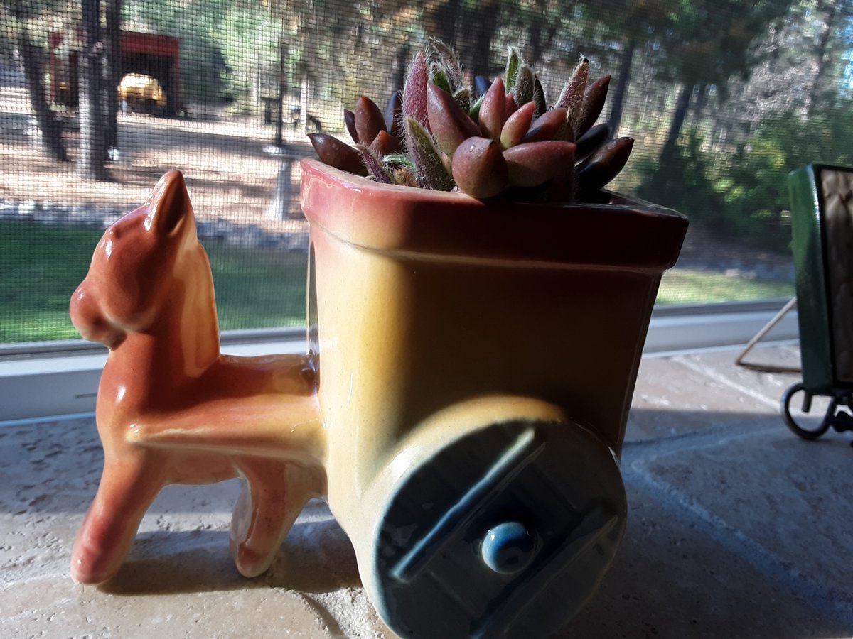 20180925_160522.jpg