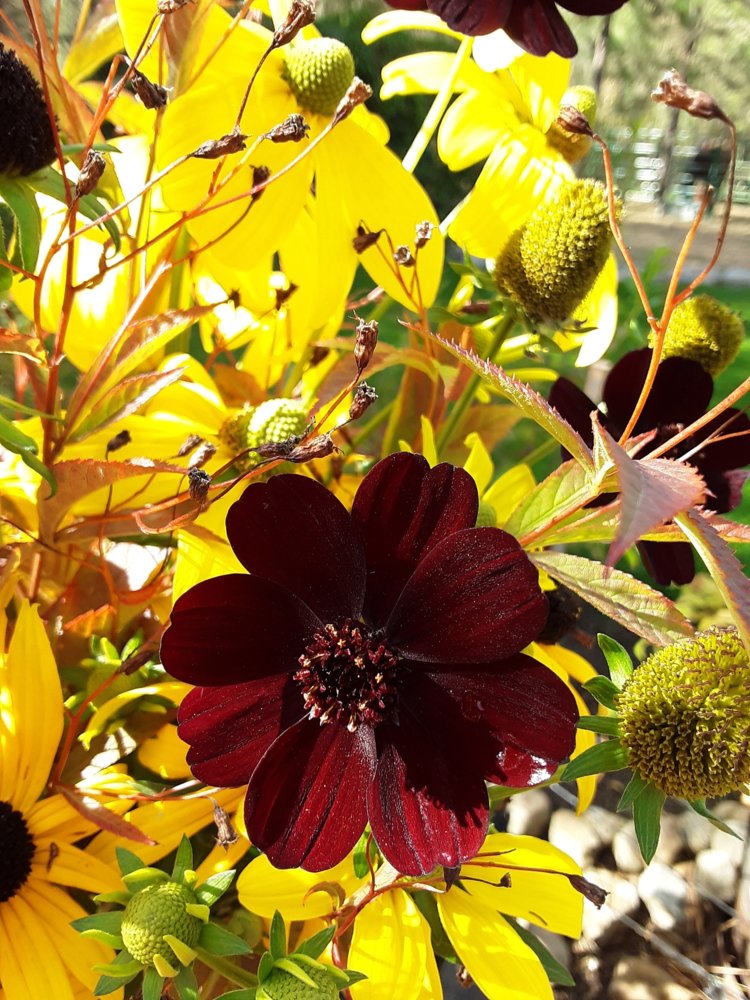 20180926_123004.jpg