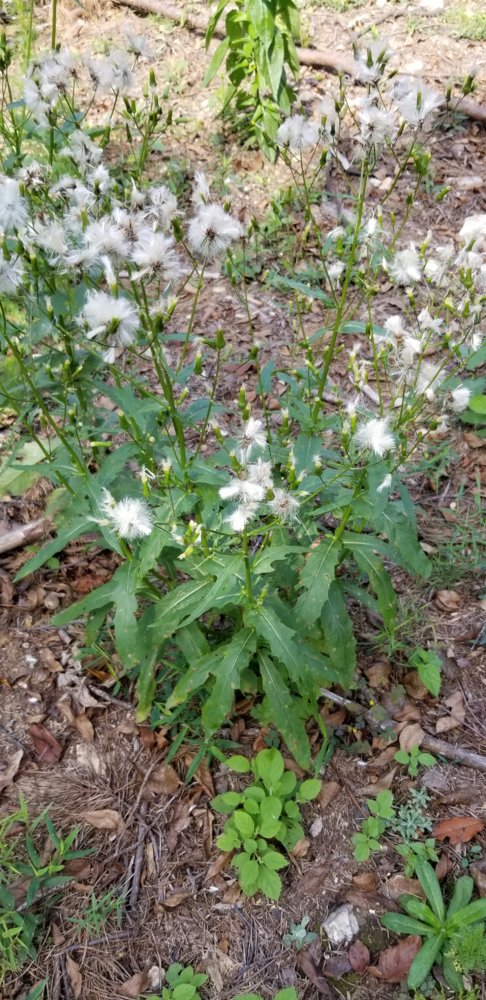 20181005_122433.jpg