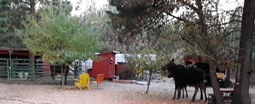20181014_070311(2).jpg