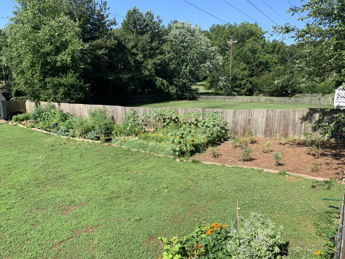 2019-06-11 09.57.21.jpg