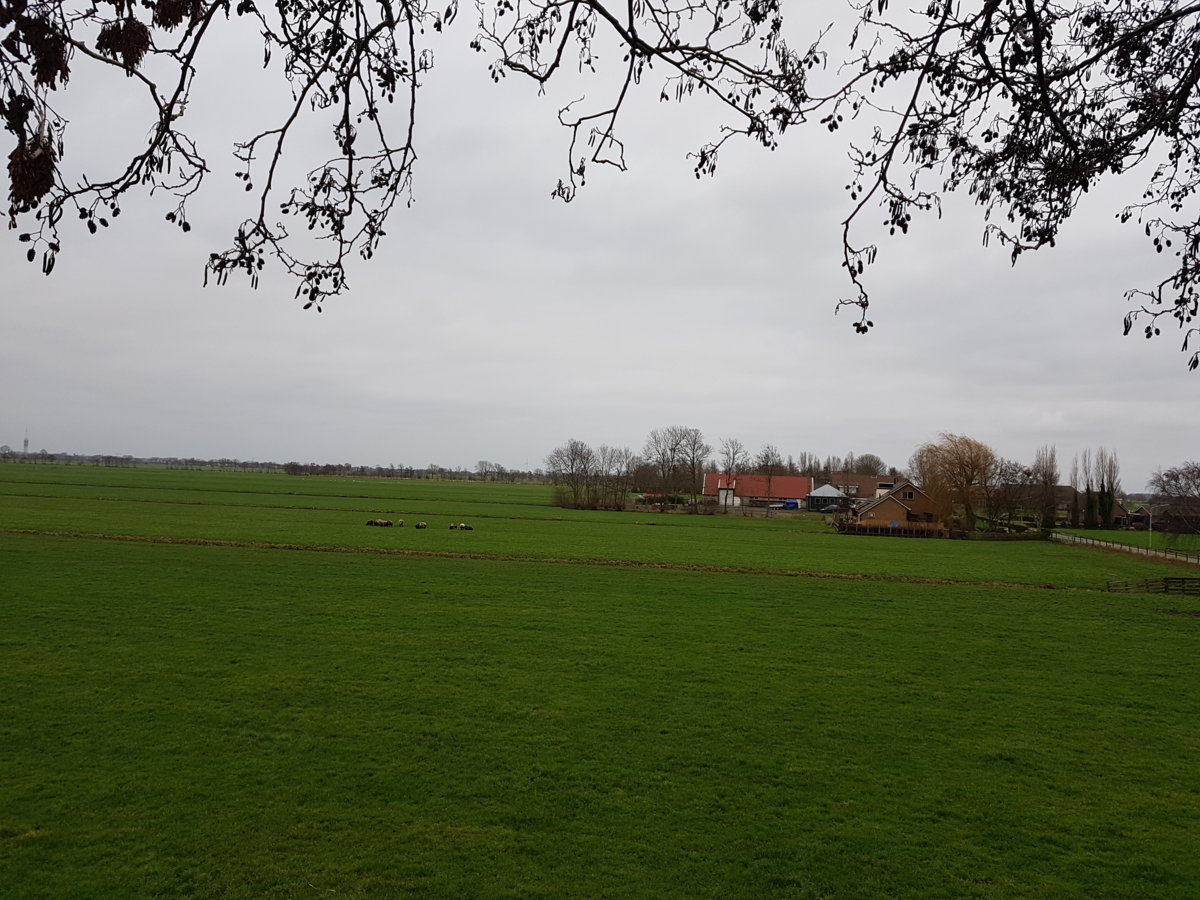 20190105_111744.jpg
