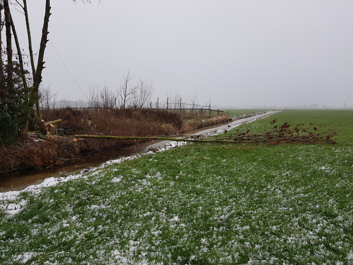 20190125_144039.jpg