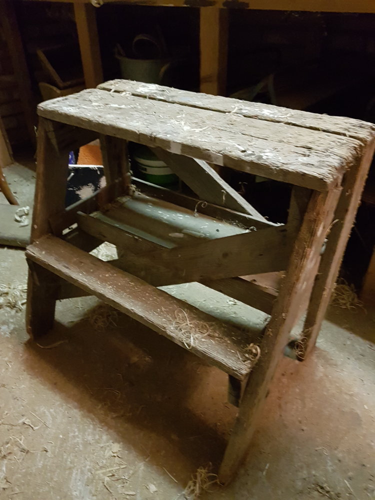 20190202_181301.jpg