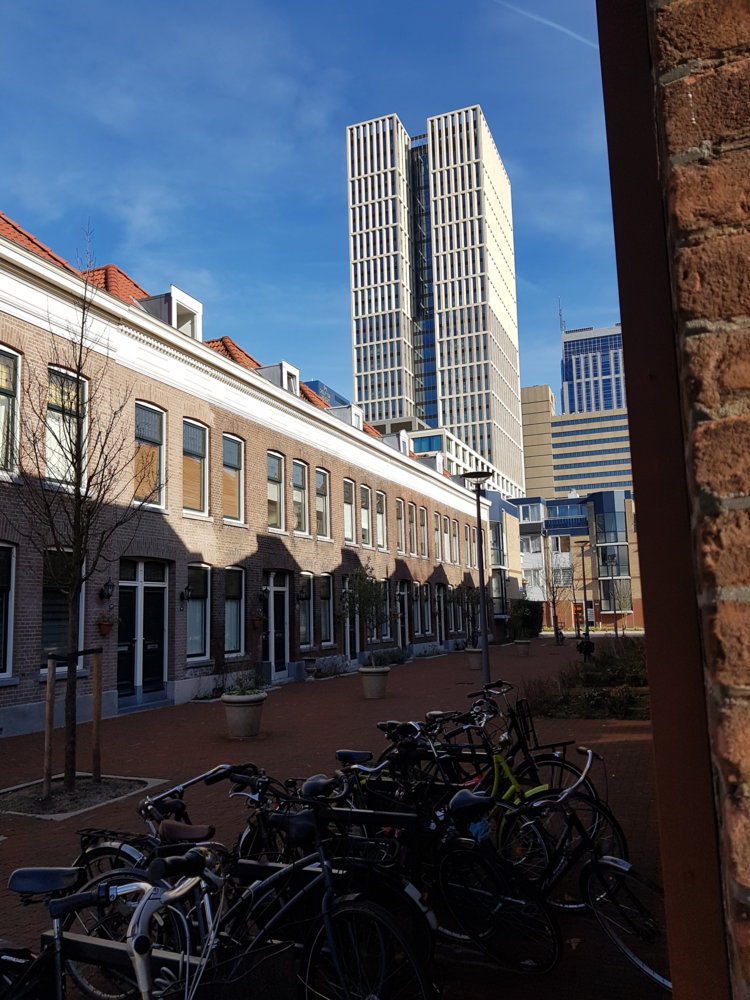 20190214_125652.jpg