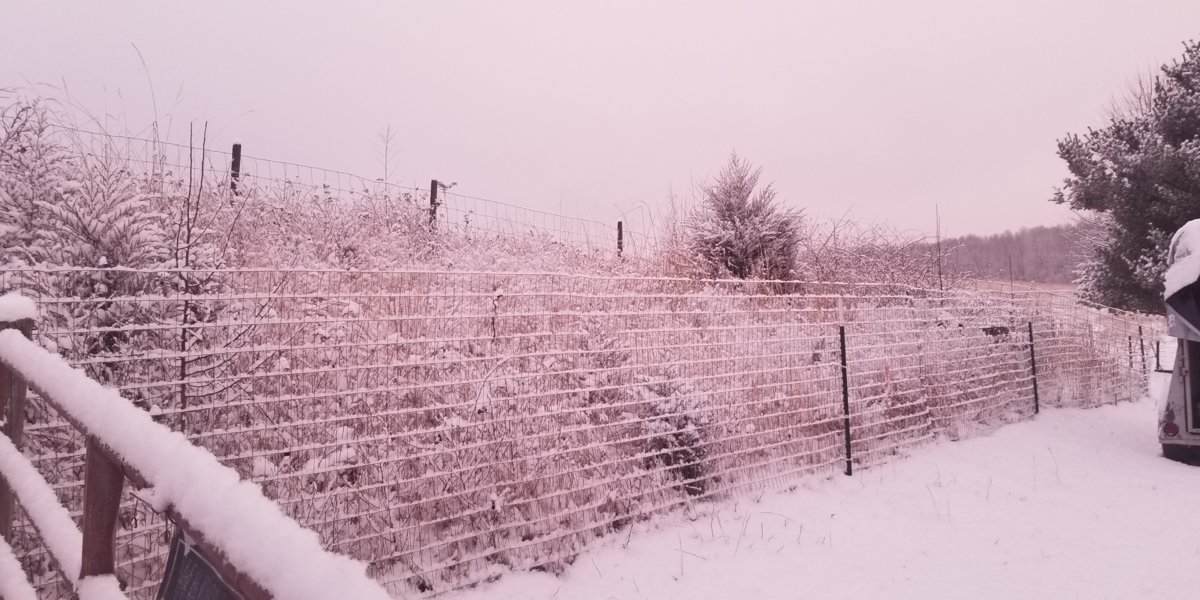 20190217_185709.jpg