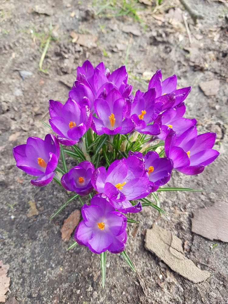 20190222_130052.jpg
