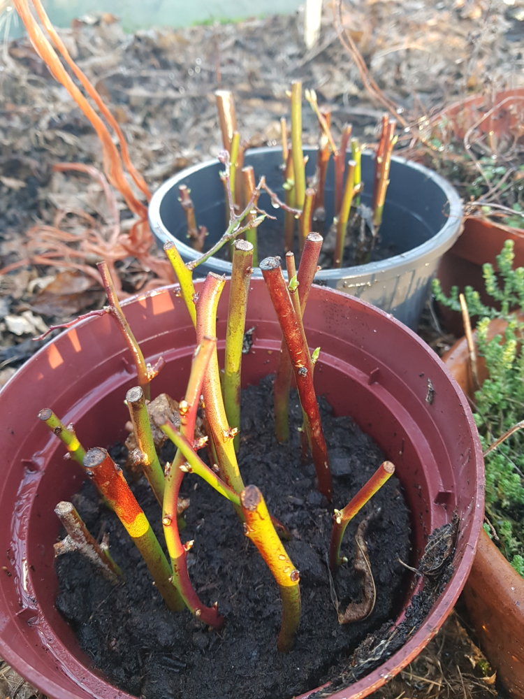 20190223_172616.jpg