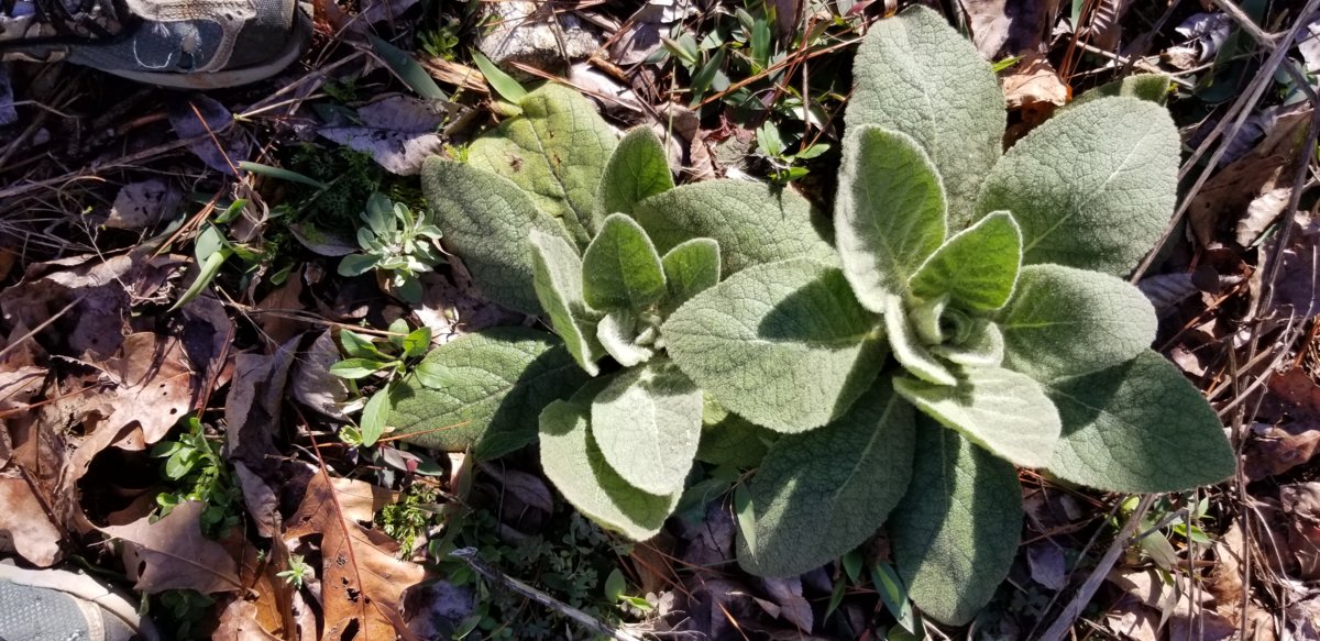 20190224_093200.jpg