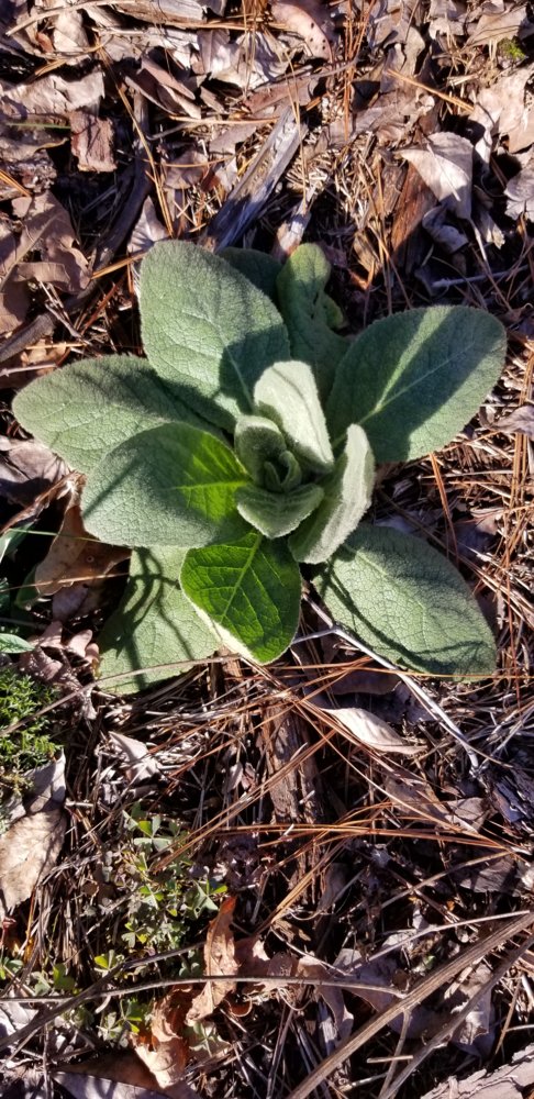 20190224_093217.jpg