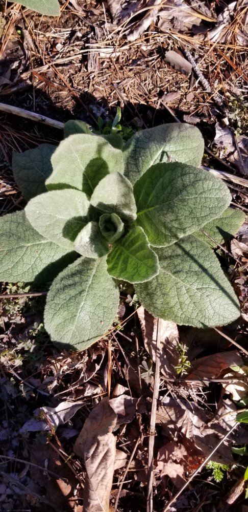 20190224_093411.jpg