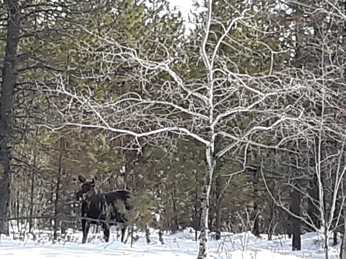 20190305_133508.jpg