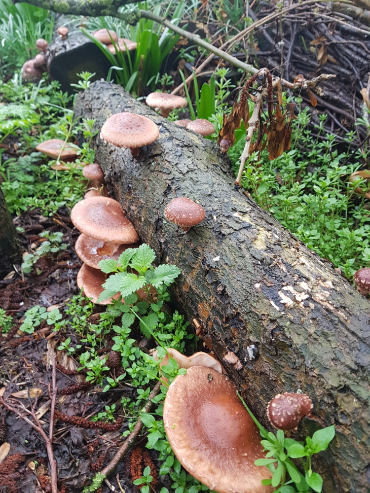 20190316_100632.jpg