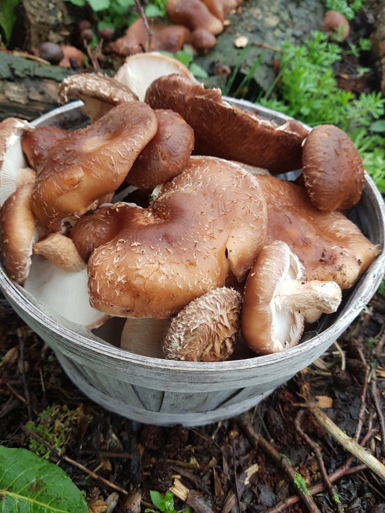 20190316_101334.jpg