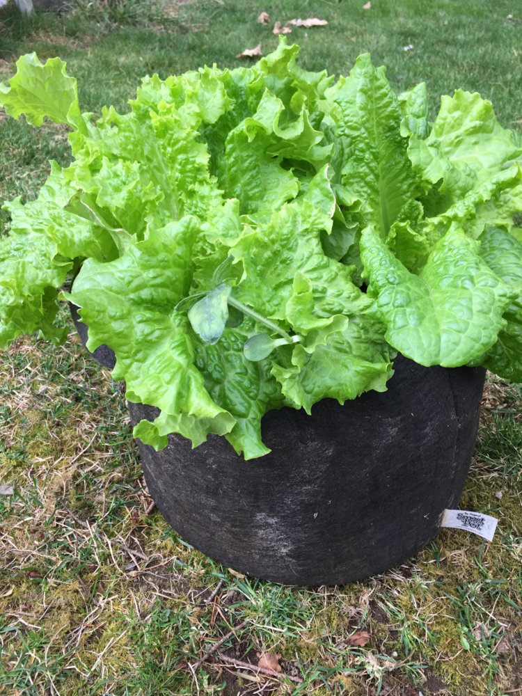 20190324_214617051_iOS.jpg