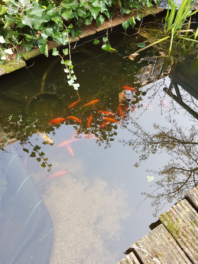 20190407_105256.jpg