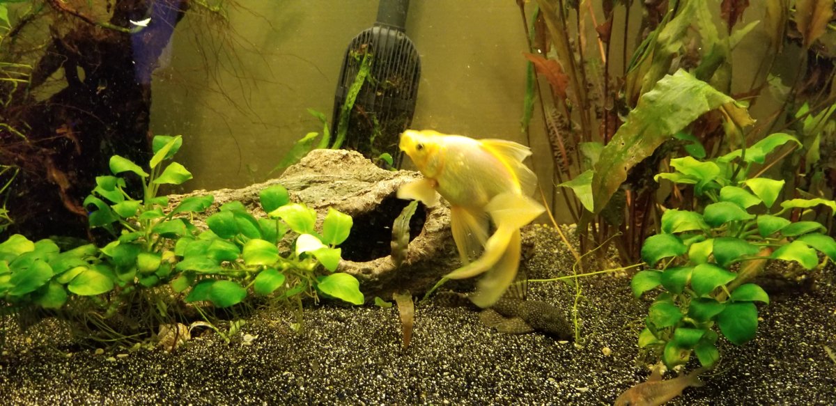20190505_112405.jpg