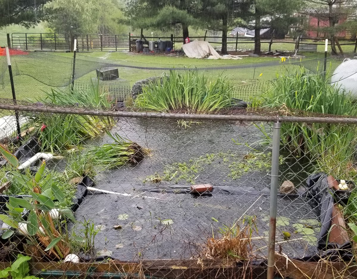 20190505_141836.jpg