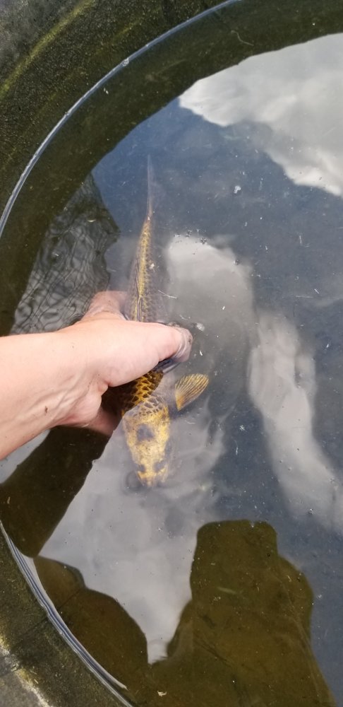 20190505_181705.jpg