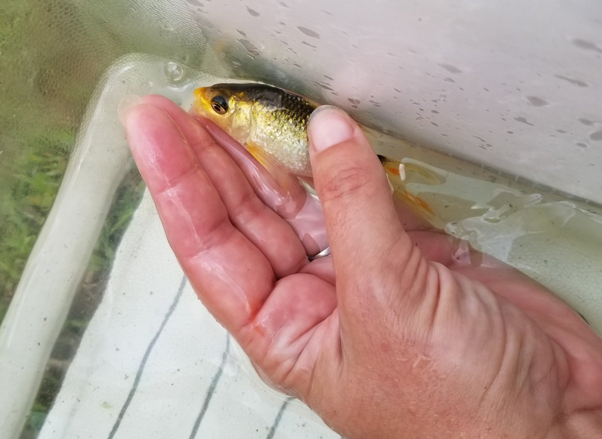 20190508_131652.jpg
