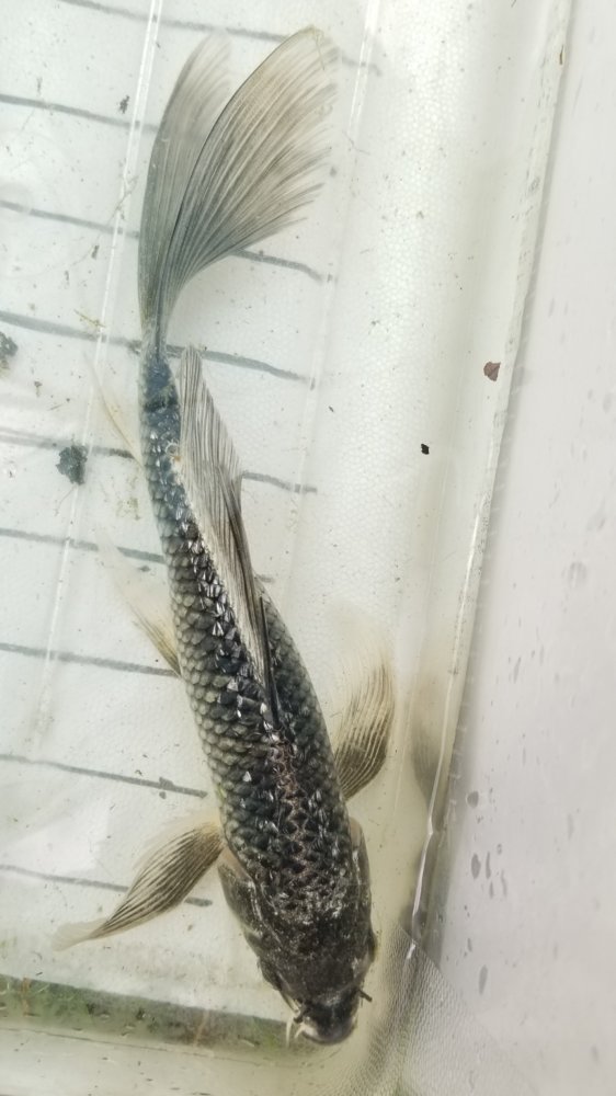 20190508_132901.jpg