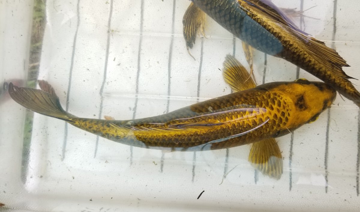 20190508_133504.jpg