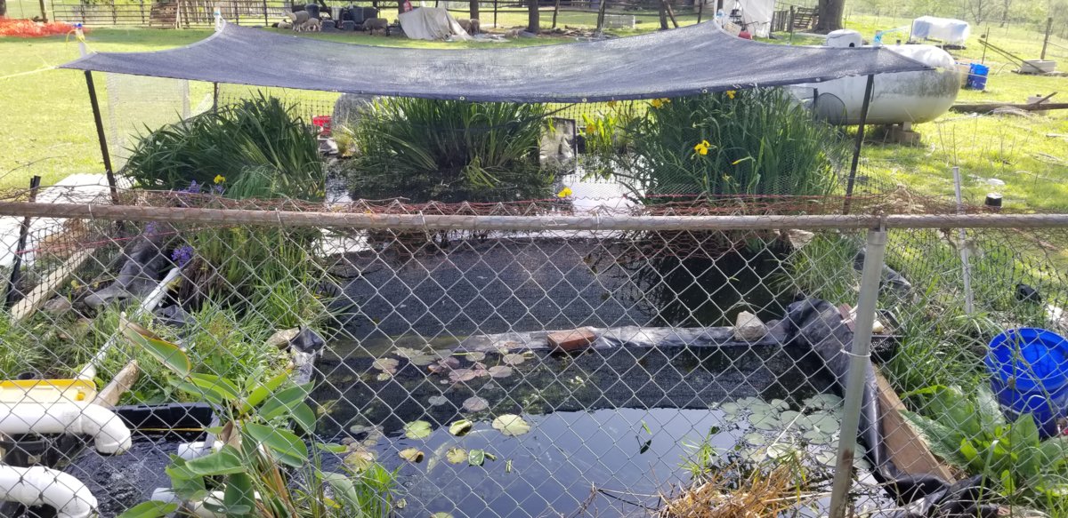 20190508_163758.jpg