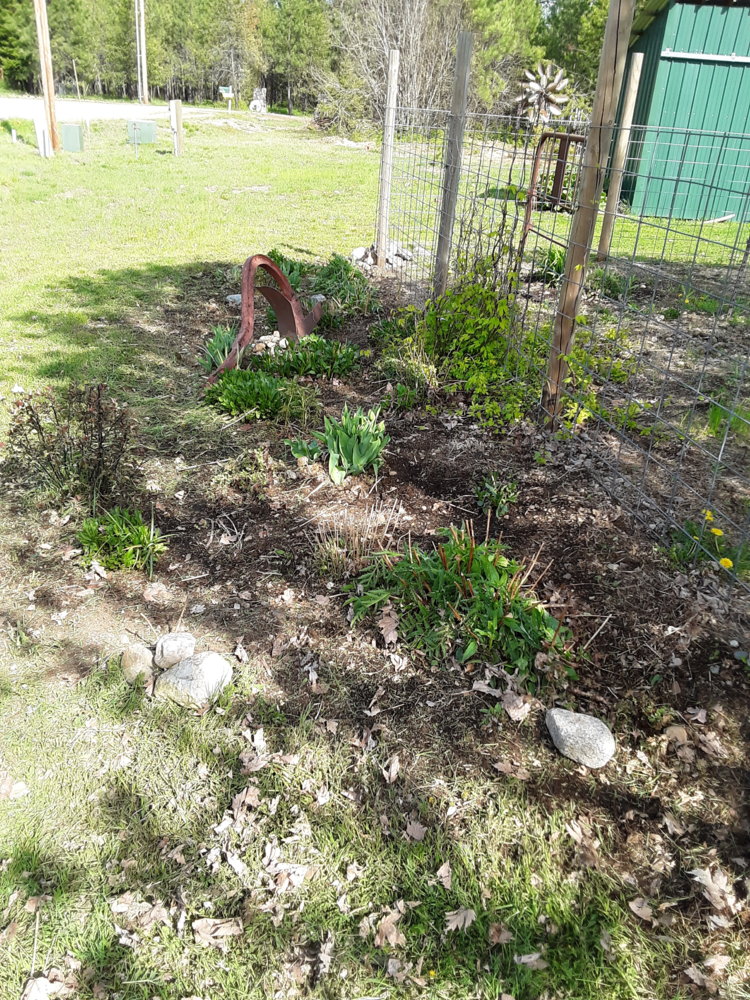 20190511_154732.jpg