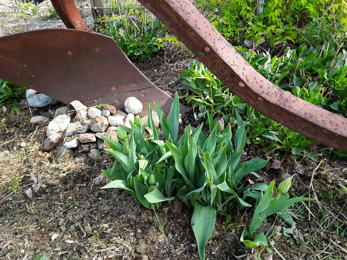 20190511_154822.jpg