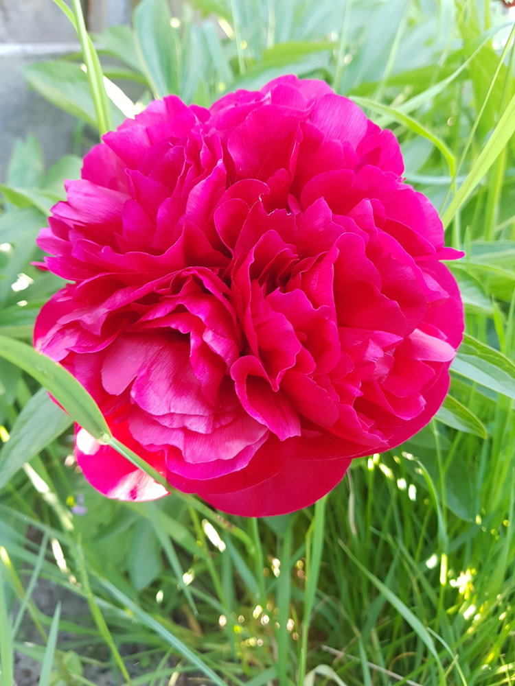 20190515_171946.jpg