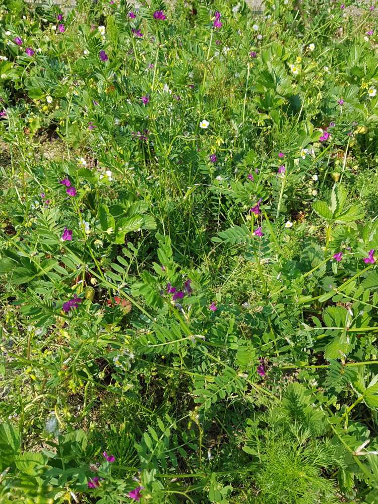 20190518_163133.jpg